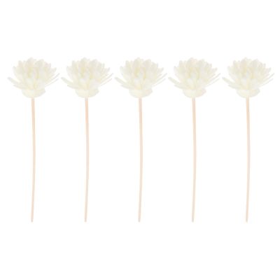 MAGICLULU White Rattan Reed Diffuser Sticks, Chrysanthemum Shape, 5-Piece Set