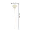 MAGICLULU White Rattan Reed Diffuser Sticks, Chrysanthemum Shape, 5-Piece Set view 2