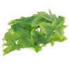 Artibetter Artificial Hanging Plastic Plant with Realistic Rattan for Reptile Terrariums, Decorative and Stress-Reducing view 1
