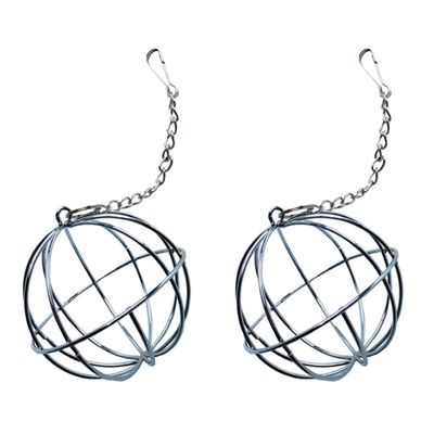 Totority 2-Pack Stainless Steel Hanging Food Balls