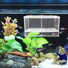 PRETYZOOM Betta Fish Breeding Box with Nylon Net and Plastic Divider view 4