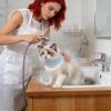 Adjustable Waterproof Recovery Collar for Cats and Dogs view 3