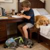 Ungtyb Pet Diaper view 2
