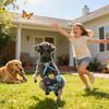 Dog Diapers | Washable Dog Diapers with Suspenders - Reusable Puppy Diapers for Travel, Home, Outdoor view 2