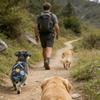 Dog Diapers | Washable Dog Diapers with Suspenders - Reusable Puppy Diapers for Travel, Home, Outdoor view 3