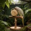 Generic Budgie Toy | Natural Interactive Fun Swing | Safe Bird Playset - Parrot Swing - For Indoor & Outdoor Use view 3