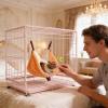 Chinchilla Hammock Bed view 3