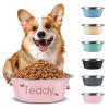 Personalized Dog Bowl - Engraved Stainless Steel Pet Feeder (Pink) view 1