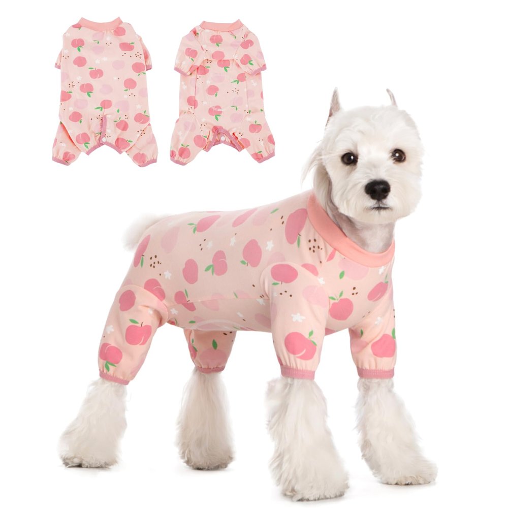 Dog Recovery Suit for Small Male & Female Dogs