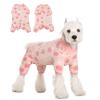Dog Recovery Suit for Small Male & Female Dogs view 1