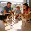 Interactive Dog Toy - Suction Cup Tug of War view 4