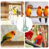 Bird Carrier Bag, Escape-Proof Vest with Handle, Parrot Harness view 4