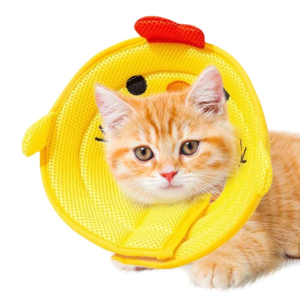 Dog Cone Collar | Cat Neck Wound Protection | Elizabethan Pet Collar for Preventing Licking in Puppies, Kittens, and Small to Medium Pets