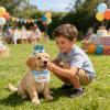 Dog Birthday Decoration - Adjustable Bandana, Collar, and Hat with Number view 3