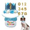 Dog Birthday Decoration Set - Adjustable Collar with Number view 1