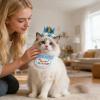 Dog Birthday Decoration Set - Adjustable Collar with Number view 2