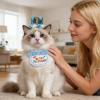 Dog Birthday Decoration Set - Adjustable Collar with Number view 3