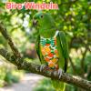 5-Pack Bird Diapers, Reusable Flight Suits for Parrots view 4
