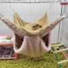 Tsophreniq Plush Double-Layer Hammock for Small Pets view 4