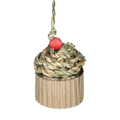Generic Interactive Natural Chew Swing Bird Toy