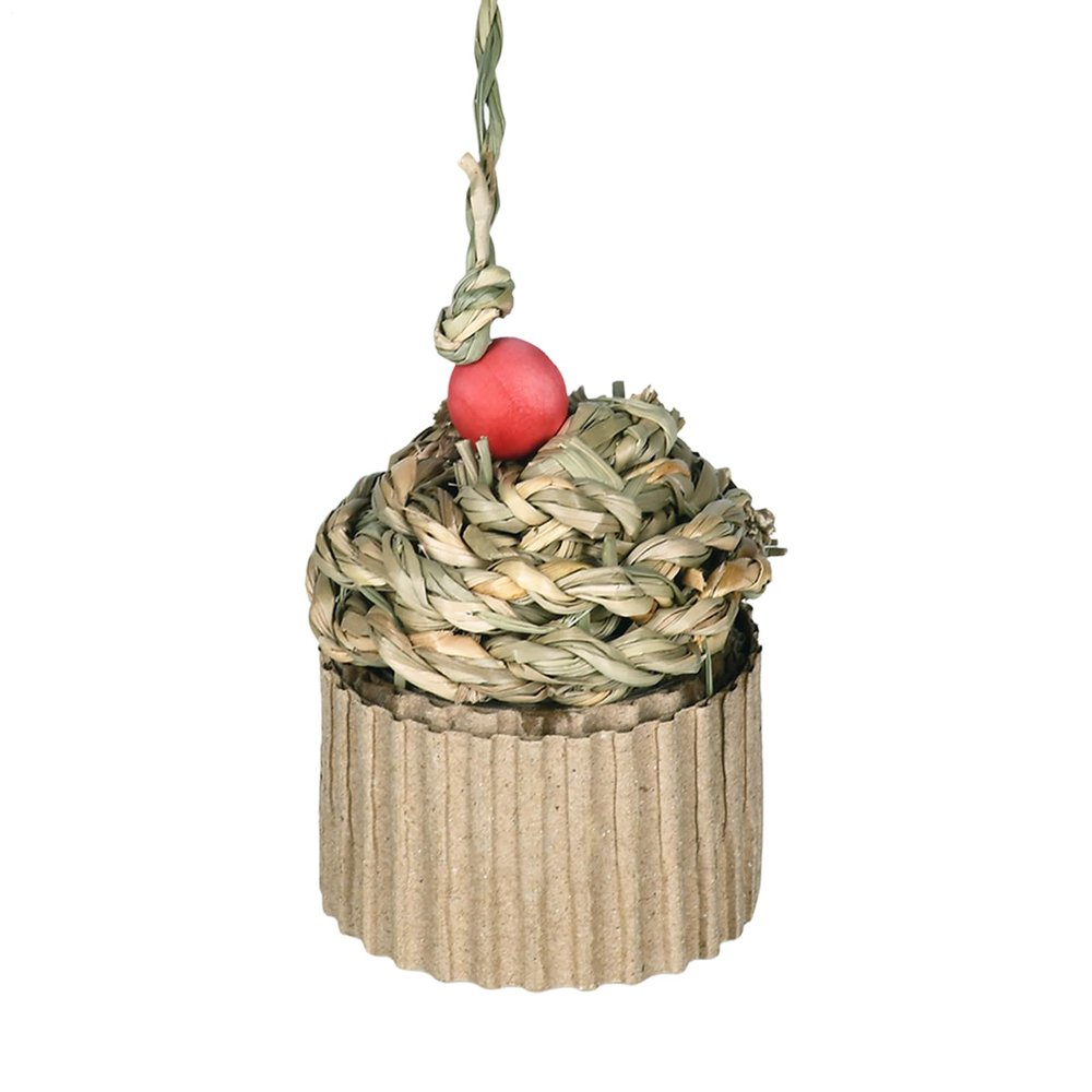 Generic Interactive Natural Chew Swing Bird Toy
