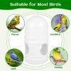 HINTRMENT 2-Pack 1 L Pigeon Water Bottles, White Plastic Bird Cage Water Dispensers view 3