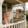 Parrot Activity Toy Set view 3