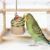 Parrot Activity Toy Set view 4