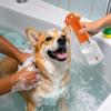 Portable Mushroom-Shaped Dog Shampoo Dispenser view 2