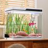Fish Tunnel for Aquarium with Suction Cup view 2