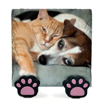 EMIT PRINT Personalized Pet Memorial Plaque with Photo, Text and Name, Paw Print Display Stand, Cat or Dog, Natural Slate, 15 x 15 cm