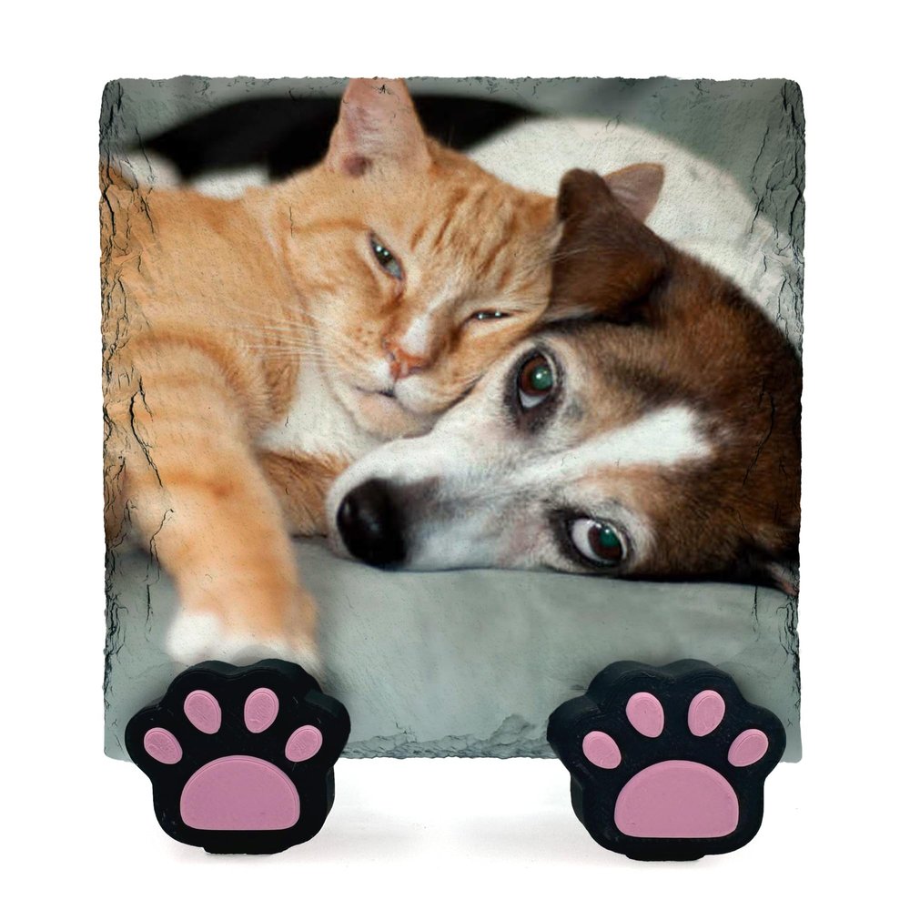 EMIT PRINT Personalized Pet Memorial Plaque with Photo, Text and Name, Paw Print Display Stand, Cat or Dog, Natural Slate, 15 x 15 cm