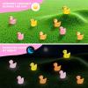 Yooyan 90 Mini Ducks - Glow in the Dark view 2