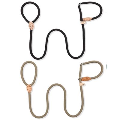2-Pack Retriever Leash with Stop 1.5m x 0.6cm for Dogs