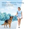 2-Pack Retriever Leash with Stop 1.5m x 0.6cm for Dogs view 4