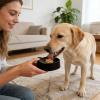 Interactive Slow Feeder Dog Toy with Ball view 3