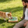 Wooden Non-Slip Rotating Interactive Dog Scratch Board view 3
