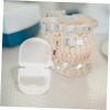 Transparent PP Dental Cases, 4-Pack, for Mouthguards view 4