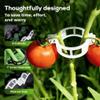 Orchid Plant Clips and Climbing Supports view 4