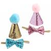 2-Pack Birthday Hats for Dogs view 1