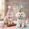 2-Pack Birthday Hats for Dogs view 2