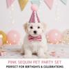 2-Pack Birthday Hats for Dogs view 4