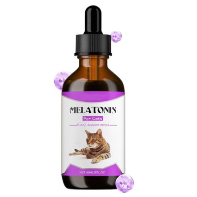 Calming Treats for Cats