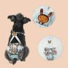 Dog Diaper, Washable Panties with Suspender view 4