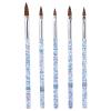 5-Piece Nail Art Painting and Drawing Brush Set view 1