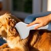 Detangling Pet Hair Brush, Reusable Grooming Tool view 2