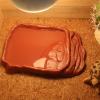 Snorvixre Reptile Feeding Bowl with Climbing Ramps view 3