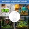 Aquarium Sinking Food Holder for Fish view 4