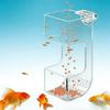 Aquarium Feeding Bowl view 3