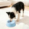 Generic 2026 Pet Water Dispenser with Innovative Drinking Technology to Help Prevent Spills, Ideal for Travel and Home Use (Blue, One Size) view 2
